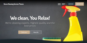 Cleaning Service